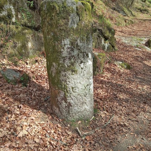 Pormenor de miliário da milha XVII