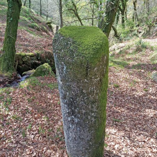 Pormenor de miliário da milha XVII