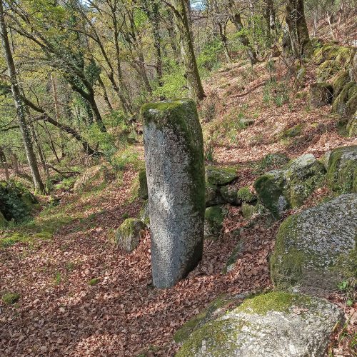 Pormenor de miliário da milha XVII